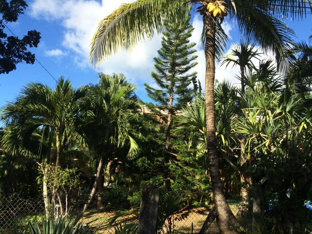 Villa Et Gites Le Safran - Le Triskell Deshaies Ngoại thất bức ảnh