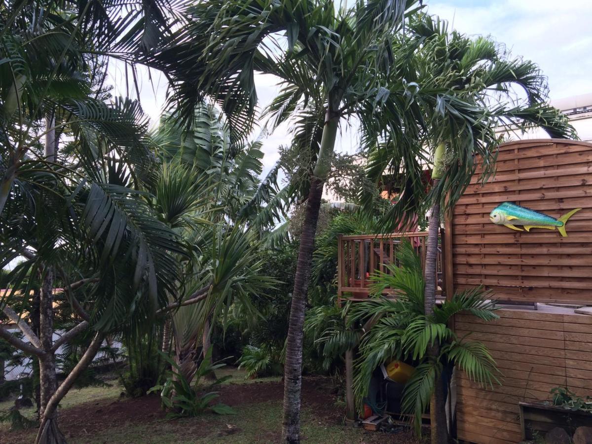 Villa Et Gites Le Safran - Le Triskell Deshaies Ngoại thất bức ảnh
